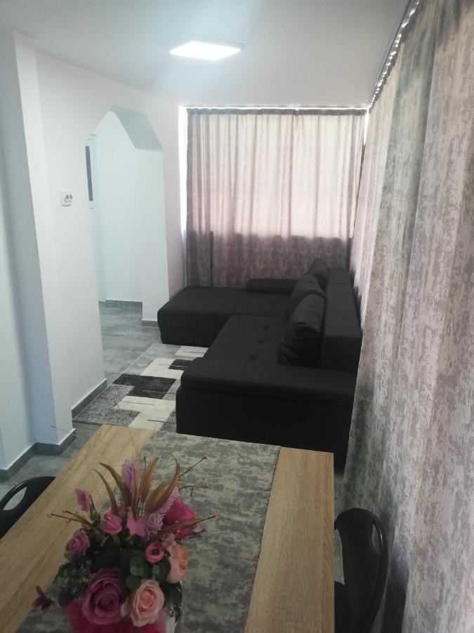 Apartament Brezoi 아파트 외부 사진