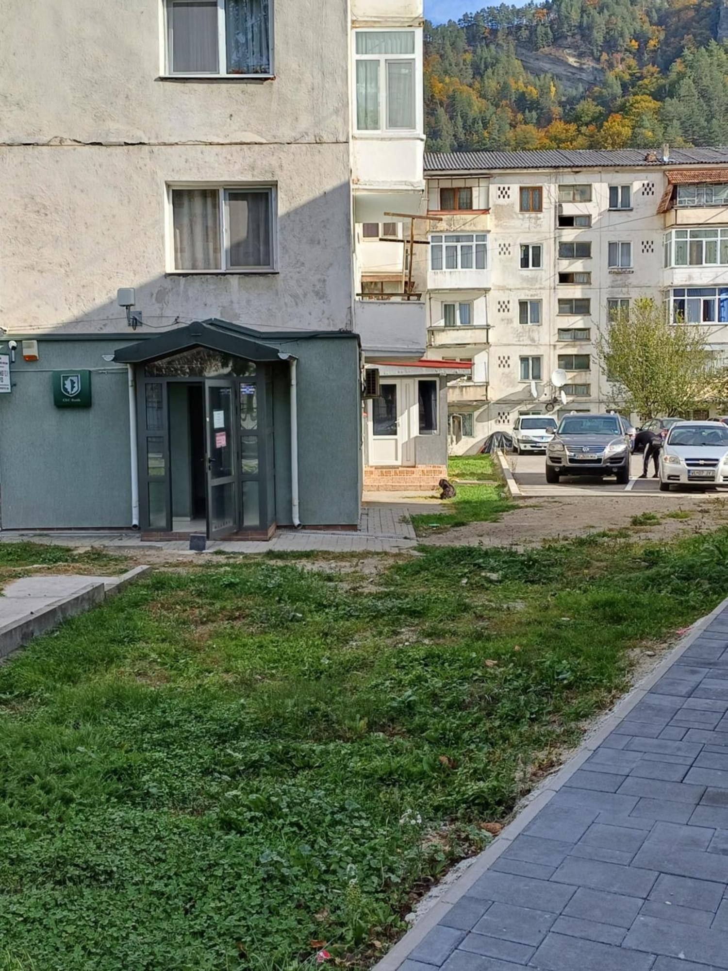 Apartament Brezoi 아파트 외부 사진